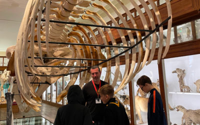 Les jeunes du dispositif JEM à la découverte du Muséum d’Histoire Naturelle de Nantes